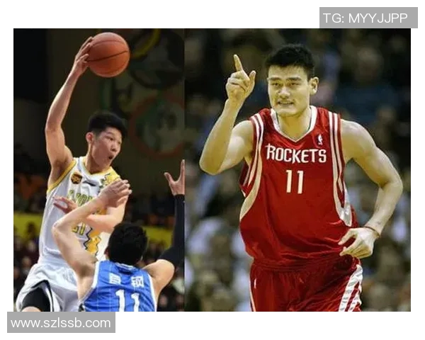 胡润与姚明携手共创体育与商业新未来的精彩故事 胡润与姚明携手共创体育与商业新未来的精彩故事