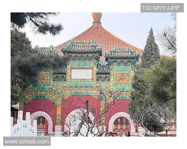 篮球明星的魅力与歌星的才华交织成的璀璨音乐之旅 篮球明星的魅力与歌星的才华交织成的璀璨音乐之旅